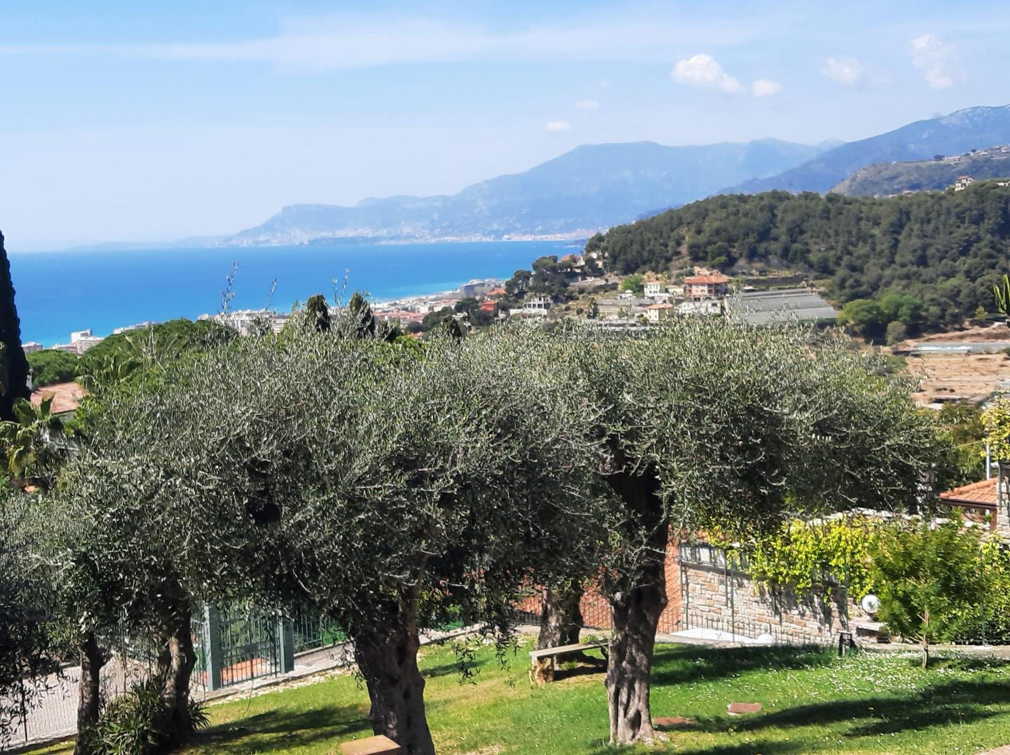 Apartment Castello Selva Dolce